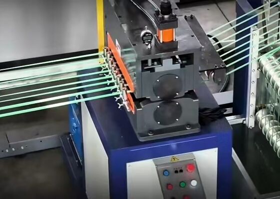 Linha de produção de correia de animais de estimação sustentável e eficiente em termos energéticos