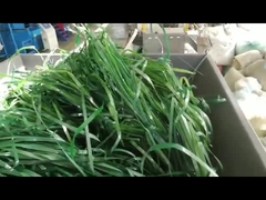 Triturador de material mole de eixo único